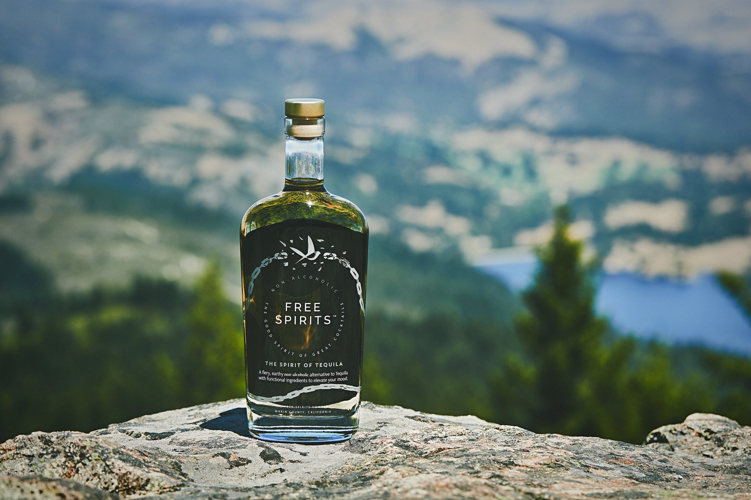 Free Spirits The Spirit of Tequila | The Open Road